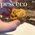 pesceco - 