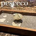 pesceco - 