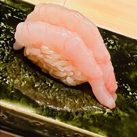 鮨 ふじおか - 増毛の甘海老。太くてデッカい三尾を組体操のように重ねました