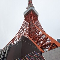 大志満 新橋汐留店 - 