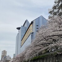大志満 新橋汐留店 - 