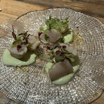 ポロノカクレガ - 