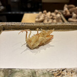 日本橋 蕎ノ字 - 