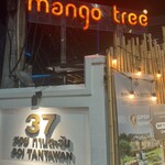 mango tree - 