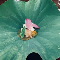 佳肴岡もと - 蓮根葉の舞台に甘エビやら伝助やらの今日の華