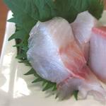 大旦那 - カイワリ