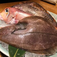 泉岳寺門前 紋屋 - 