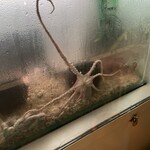 韓国料理 ナッチャン - 