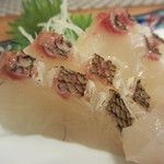Sagamiya - 活き〆真鯛刺身アップ