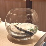 橦木町 しみず - 