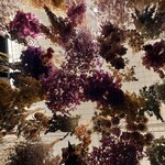 パンとエスプレッソと - 