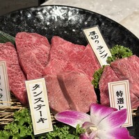 PONGA PREMIUM - 