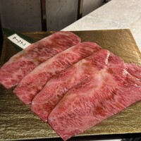 PONGA PREMIUM - 