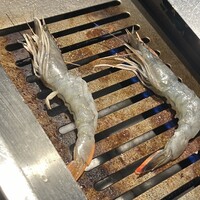 焼肉 たまき家 - 