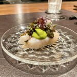 イル アオヤマ - 