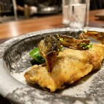 イル アオヤマ - 