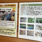 レストラン 川かぜ - 真央うどん？