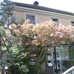 リストランテ ベリーニ - リストランテBellini