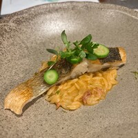 イリエスケープ - 