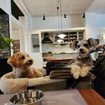 ファイル ナチュラル フード ワークス - 