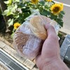 ニィーノ - カレードーナツとつぶあんを買いました。