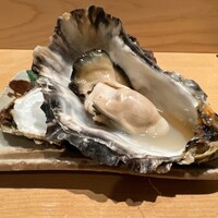 匠　達広 - 