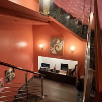 Robin Club 表参道 -  Robin Club 表参道 -