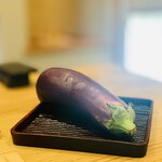 柚木元 - ⑥天龍村産「ていざ茄子」