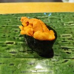 鮨 波づき - ウニ