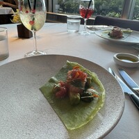 Wattle Tokyo - 