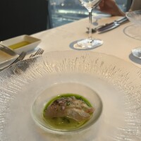 XEX TOKYO / Salvatore Cuomo Bros. - 