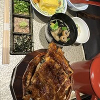 炭焼きうなぎ・かしわ 登河 - 