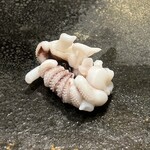 くろ﨑 - シンイカのゲソ