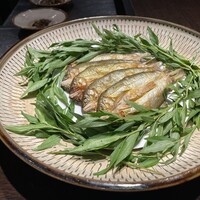 デンクシフロリ - 