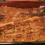 うなぎ　はす沼 - うな重 梅