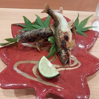 弁慶橋 せき - 