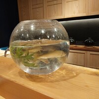 弁慶橋 せき - 