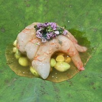 鮨 水天一碧 - 