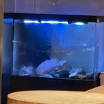 避風塘 みやざわ - 