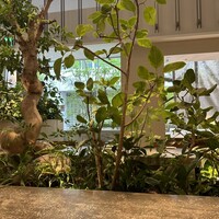 熱香森 -  熱香森 -