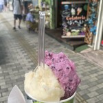 젤라테리아 후룻티