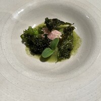 SCALAE - 