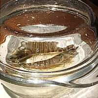 海皇 大阪堂島店 - 