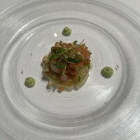 SCALAE - 
