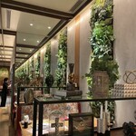 CIELITO LINDO BAR AND GRILL - 