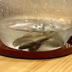 銀座 水野 - ぴちぴちはねる鮎