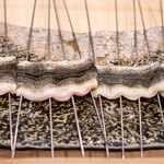 柚木元 - 2024.8 浜名湖汽水域産400gサイズ天然うなぎ