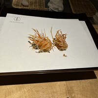 天七 - 