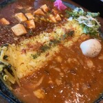 Satya - 麻婆豆腐カレーと牛すじときのこカレーあいがけ