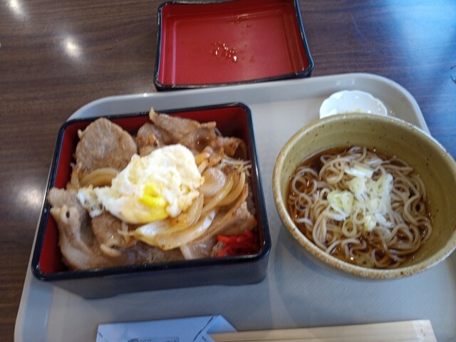 口コミ一覧 : てんてこまいの写真